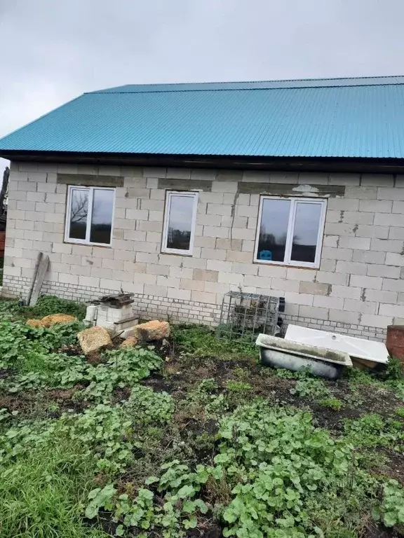 Дом в Липецкая область, Задонский район, Камышевский сельсовет, с. ... - Фото 1