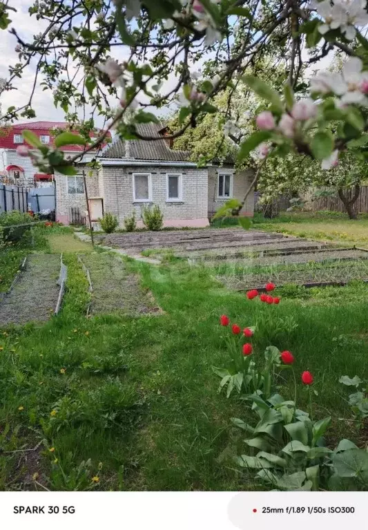Участок в Брянская область, Брянск Кромская ул. (7.8 сот.) - Фото 0