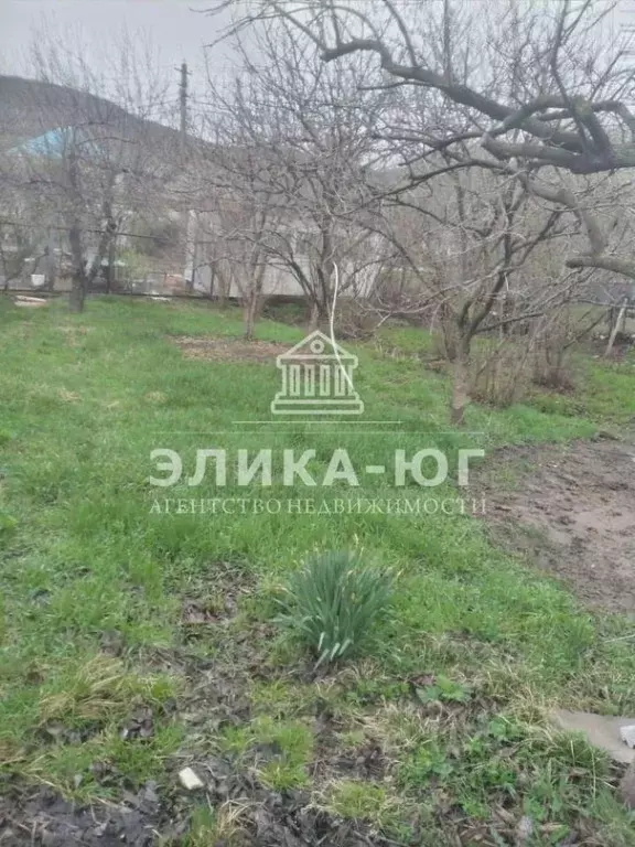 Участок в Краснодарский край, Туапсинский муниципальный округ, с. ... - Фото 1