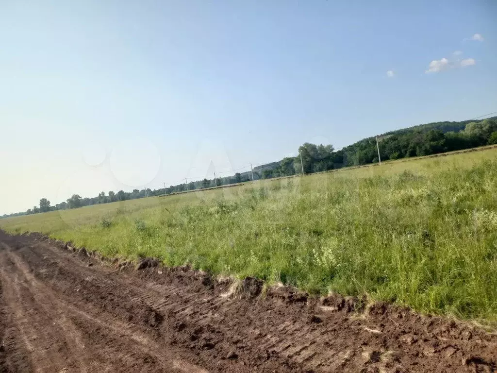 Участок 7,9 сот. (СНТ, ДНП) - Фото 0
