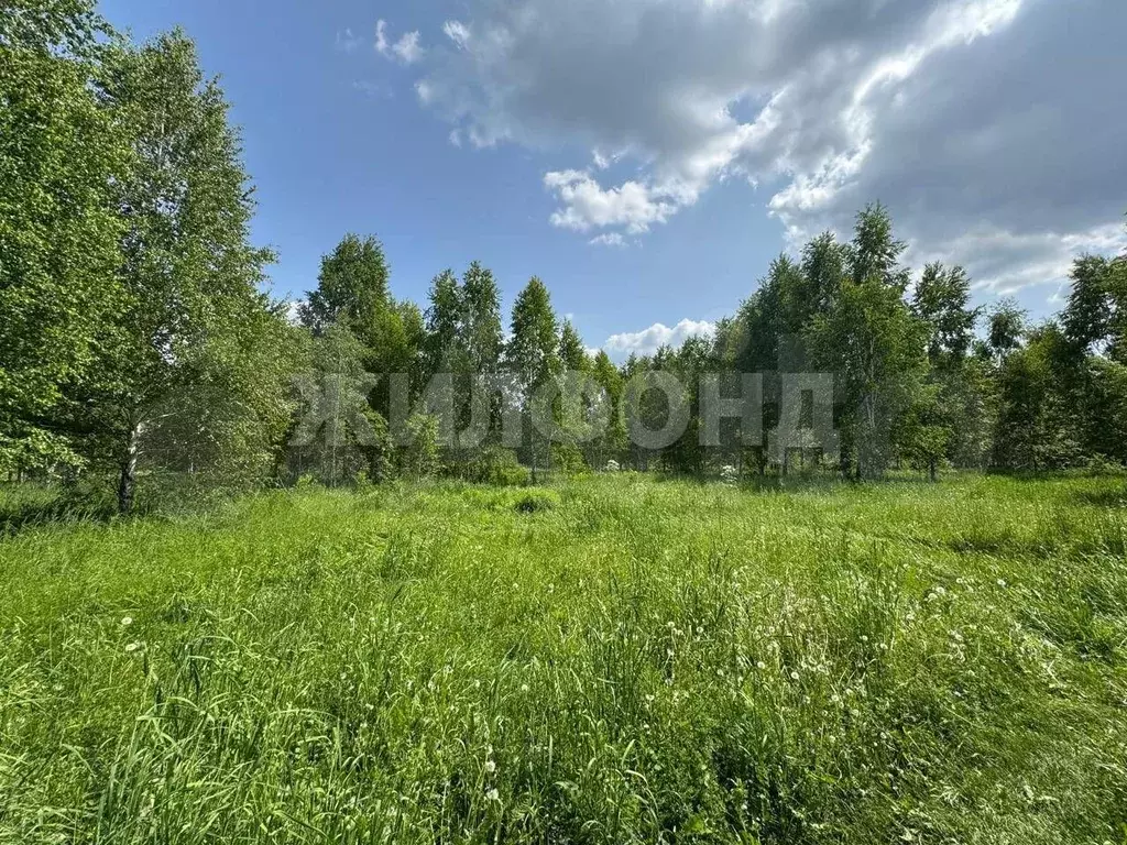 Участок 8 сот. (СНТ, ДНП) - Фото 0