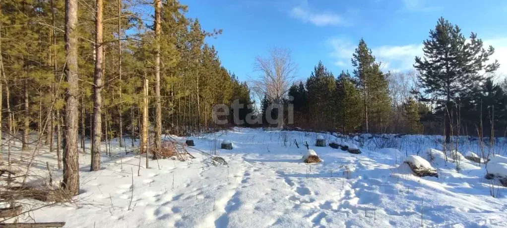 Участок в Свердловская область, Талица пл. Молодежная (12.1 сот.) - Фото 0