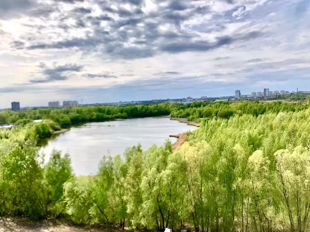 1-к кв. Нижегородская область, Нижний Новгород Народная ул., 37а (30.0 ... - Фото 2