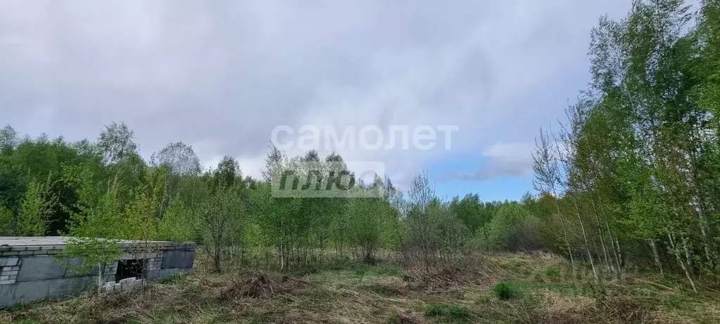 Участок в Нижегородская область, Бор муниципальный округ, д. Колобово ... - Фото 2