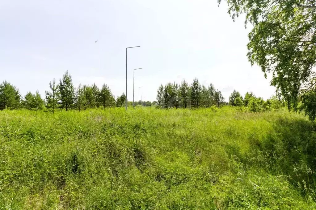 Участок в Тюменская область, Тюменский муниципальный округ, ... - Фото 1