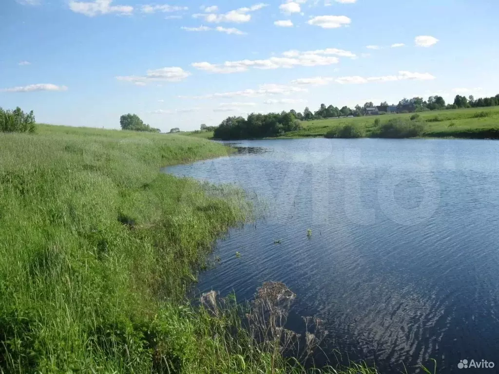 Участок 11 сот. (СНТ, ДНП) - Фото 0