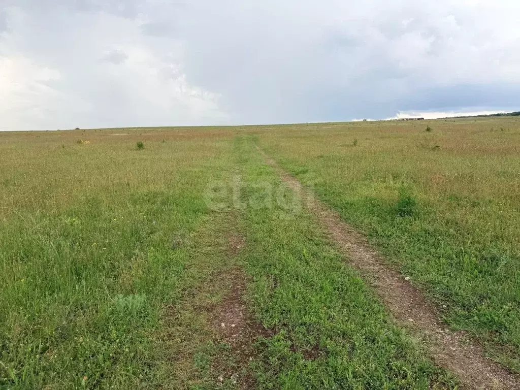 Участок в Крым, Симферопольский район, с. Чистенькое  (6.0 сот.) - Фото 2
