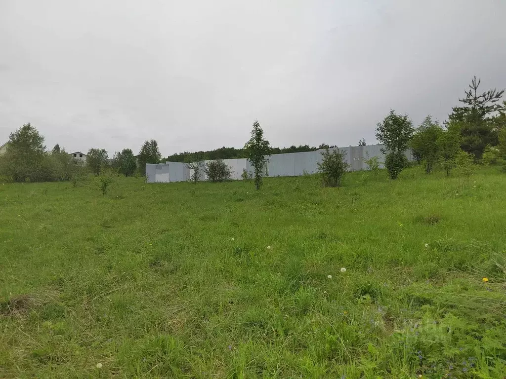Участок в Владимирская область, Александров  (6.0 сот.) - Фото 1