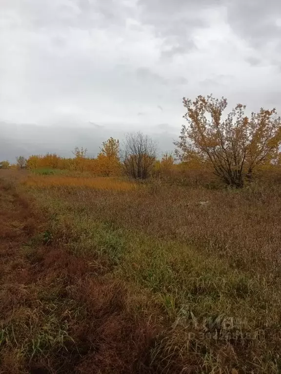 Участок в Красноярский край, Березовка городское поселение, Шумковское ... - Фото 0