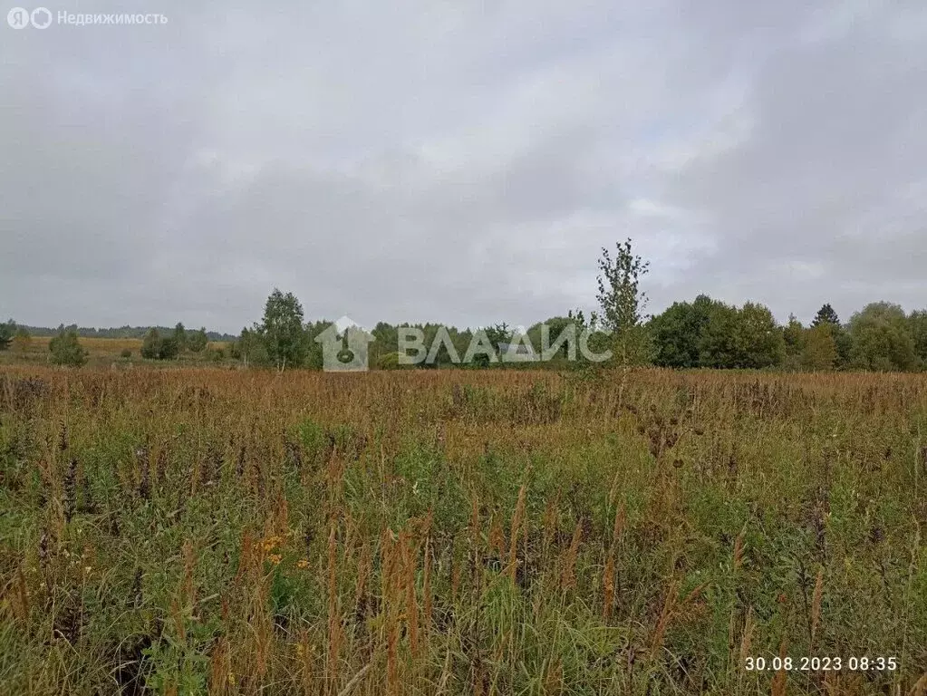 Участок в Калужская область, Перемышльский муниципальный округ, ... - Фото 1