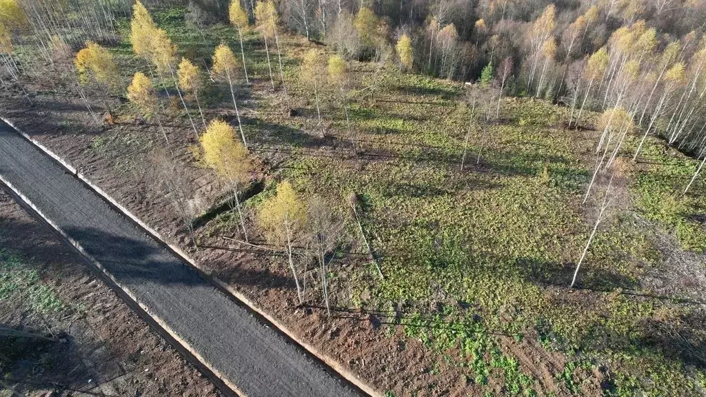 Участок в Московская область, Клин городской округ, д. Покровка, Отдых ... - Фото 1