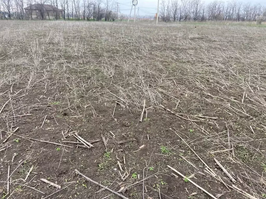 Участок в Ростовская область, Мясниковский район, с. Большие Салы ул. ... - Фото 1