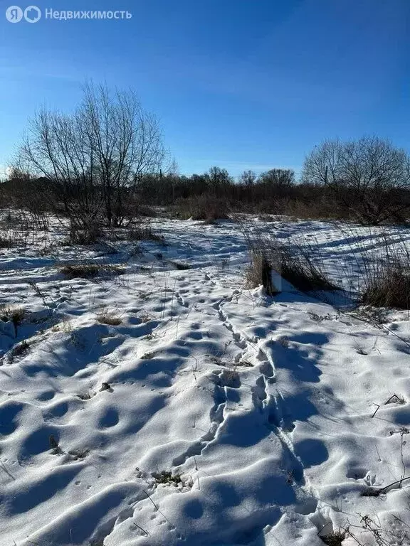 Участок в село Волково, Осенняя улица (13 м) - Фото 2