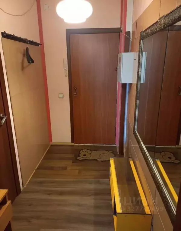 Студия Санкт-Петербург просп. Маршала Жукова, 41 (24.0 м) - Фото 2