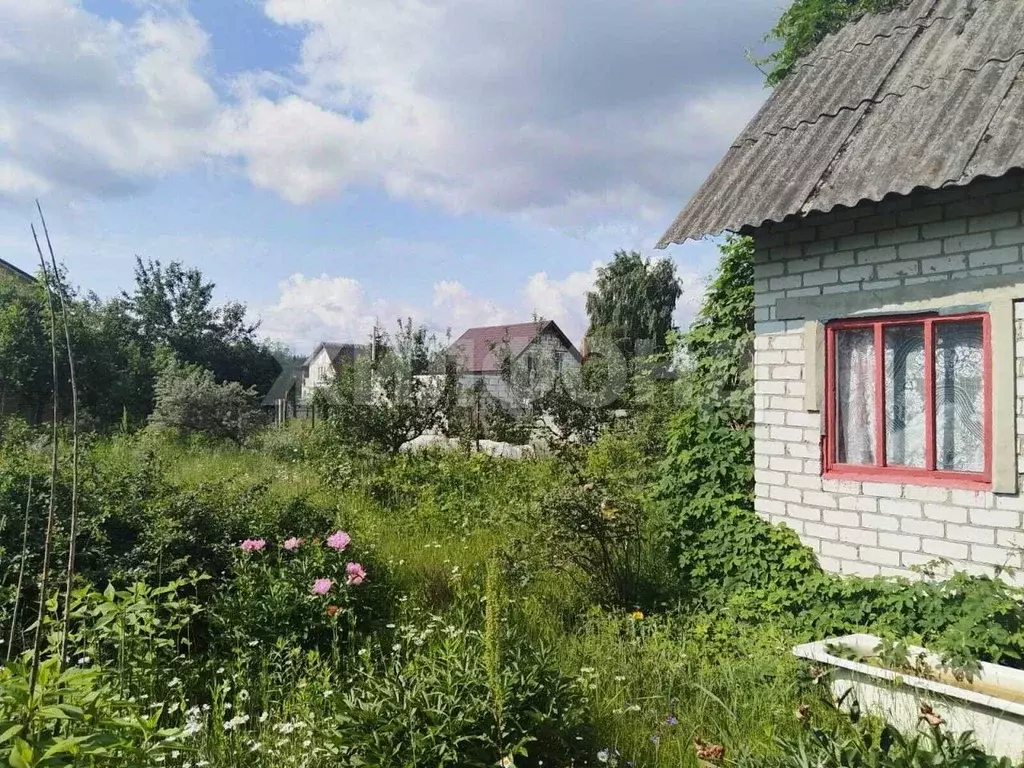 Участок в Брянская область, Брянск  (6.0 сот.) - Фото 1
