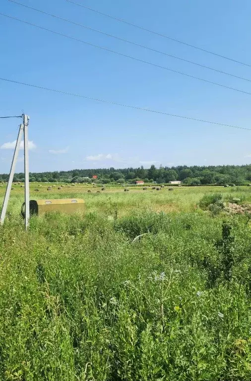 Участок в Вологодская область, Череповецкий район, д. Ирдоматка  (15.0 ... - Фото 2