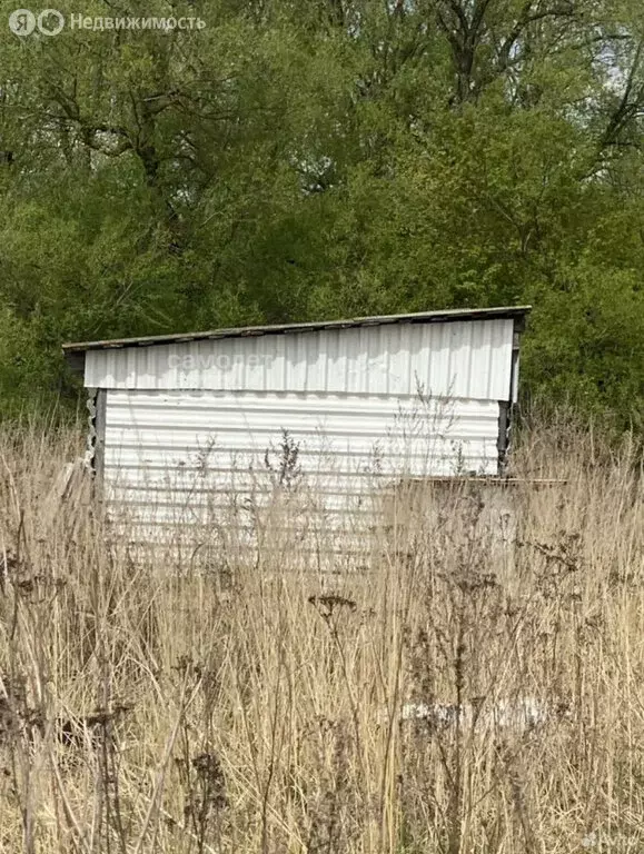 Участок в Московская область, Воскресенск (6.2 м) - Фото 2