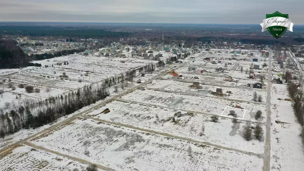 Участок в Ленинградская область, Всеволожский район, Романовское ... - Фото 0