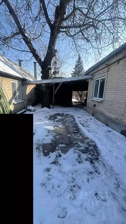 Дом в Ростовская область, Таганрог ул. Афоновых (60 м) - Фото 0