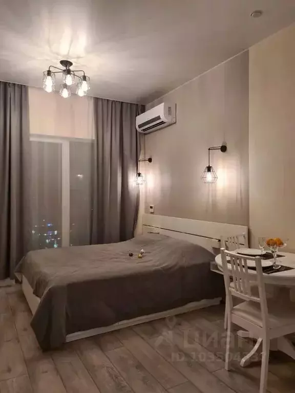 Студия Краснодарский край, Сочи ул. Ленина, 219/6Б (23.0 м) - Фото 0