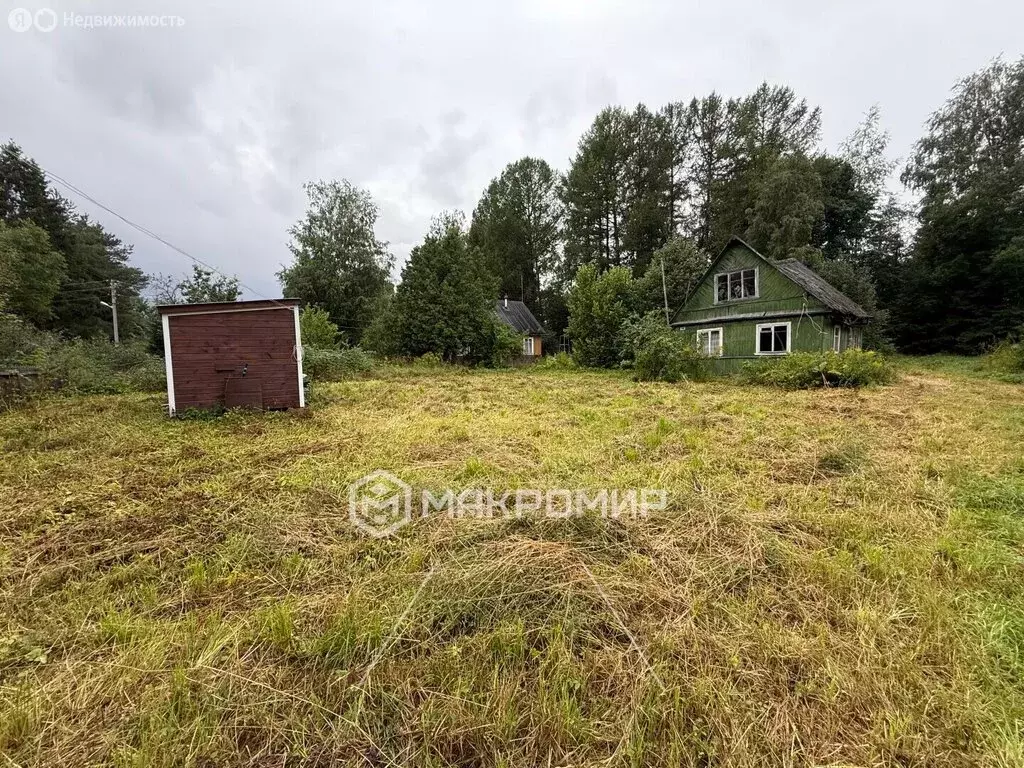 Участок в Ленинградская область, Кировское городское поселение, ... - Фото 1