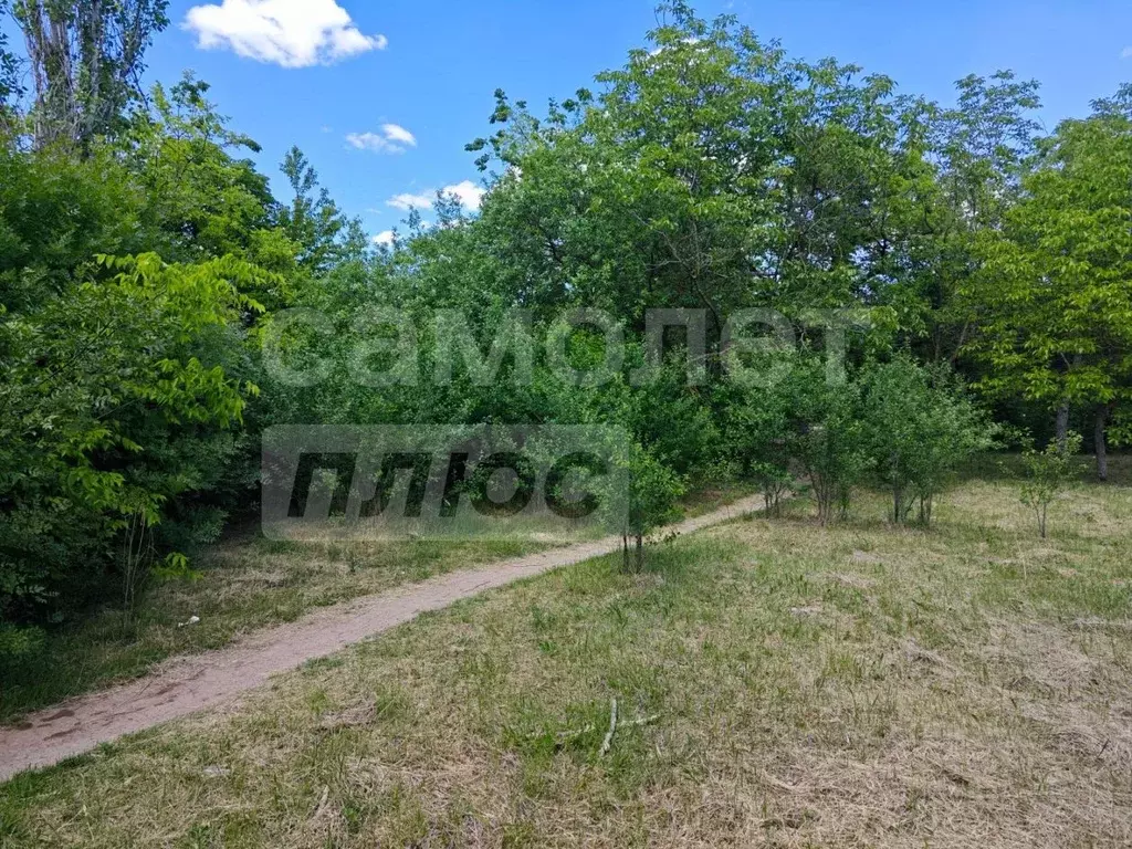 Участок в Крым, Сакский район, Веселовское с/пос, с. Наташино  (6.0 ... - Фото 1