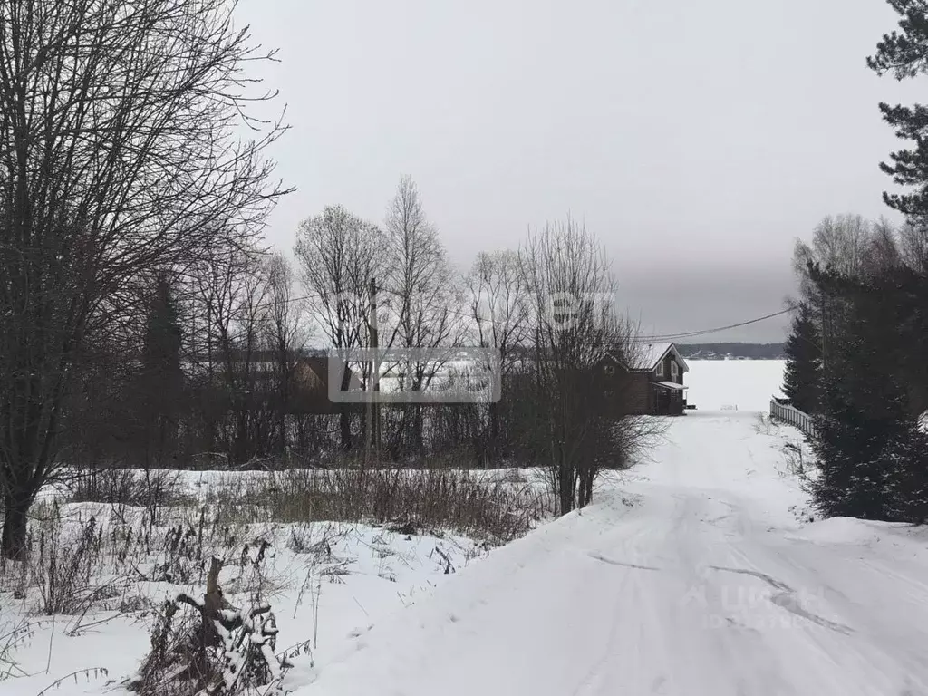 Участок в Вологодская область, Кирилловский муниципальный округ, д. ... - Фото 0