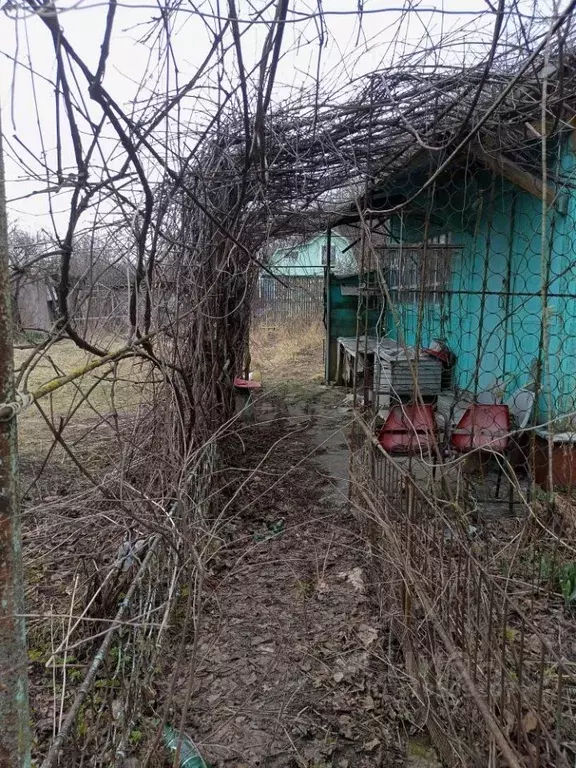 Дом в Тульская область, Тула Глухополянская ул. (35 м) - Фото 1