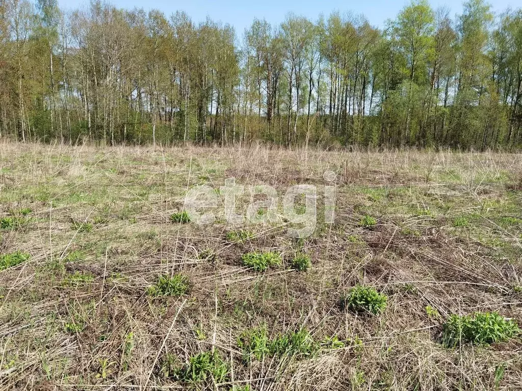 Участок в Брянская область, Брянский район, Отрадненское с/пос, с. ... - Фото 2