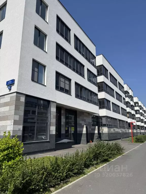 Студия Санкт-Петербург просп. Ветеранов, 200 (24.2 м) - Фото 0