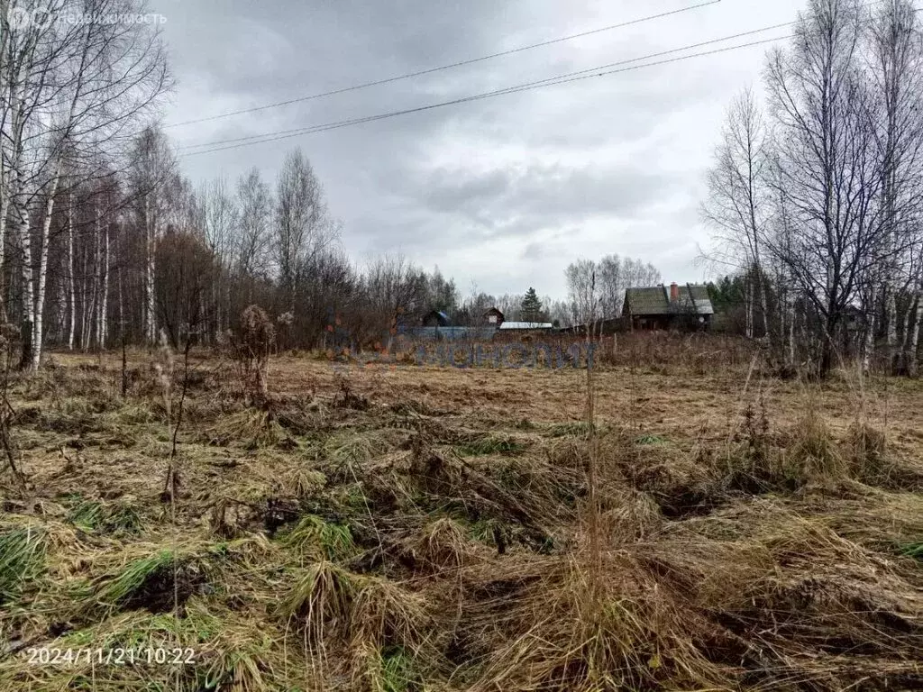 Участок в Нижегородская область, городской округ Семёновский, деревня ... - Фото 1