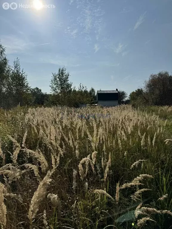 Участок в Нижегородская область, Богородский муниципальный округ, ... - Фото 1