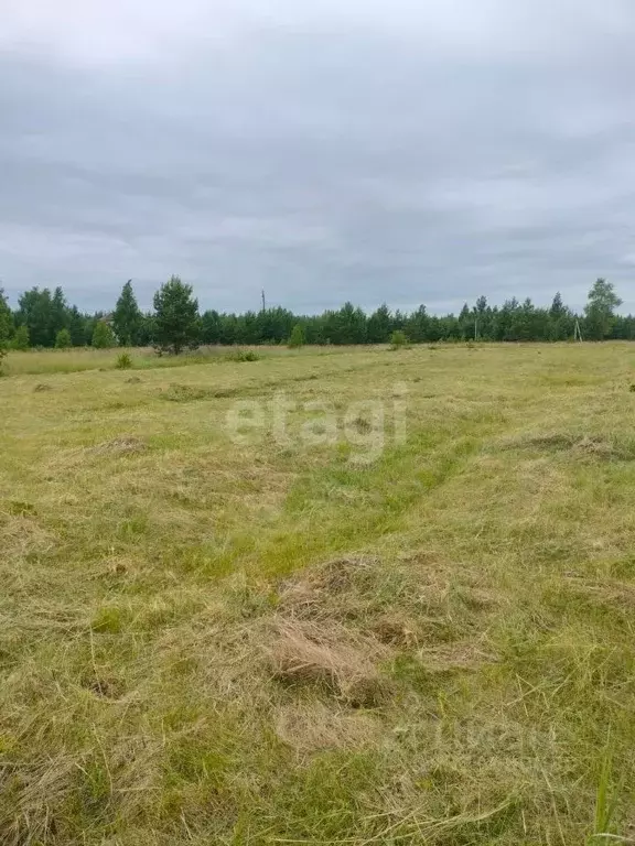 Участок в Липецкая область, Грязинский район, Плехановский сельсовет, ... - Фото 2