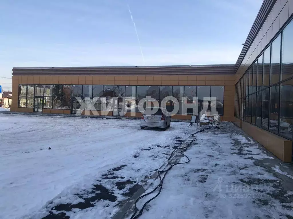 Торговая площадь в Новосибирская область, с. Новолуговое ул. Андреева, ... - Фото 2