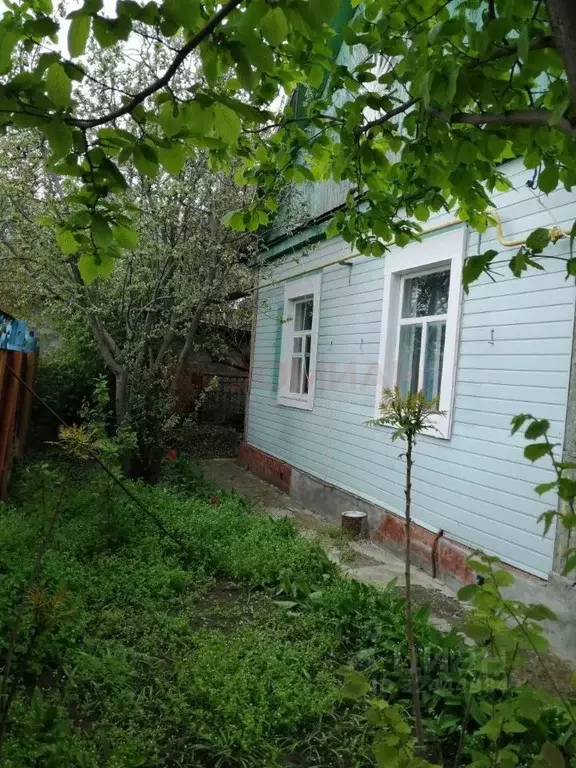 Дом в Ростовская область, Волгодонск ул. Максима Горького (60 м) - Фото 1