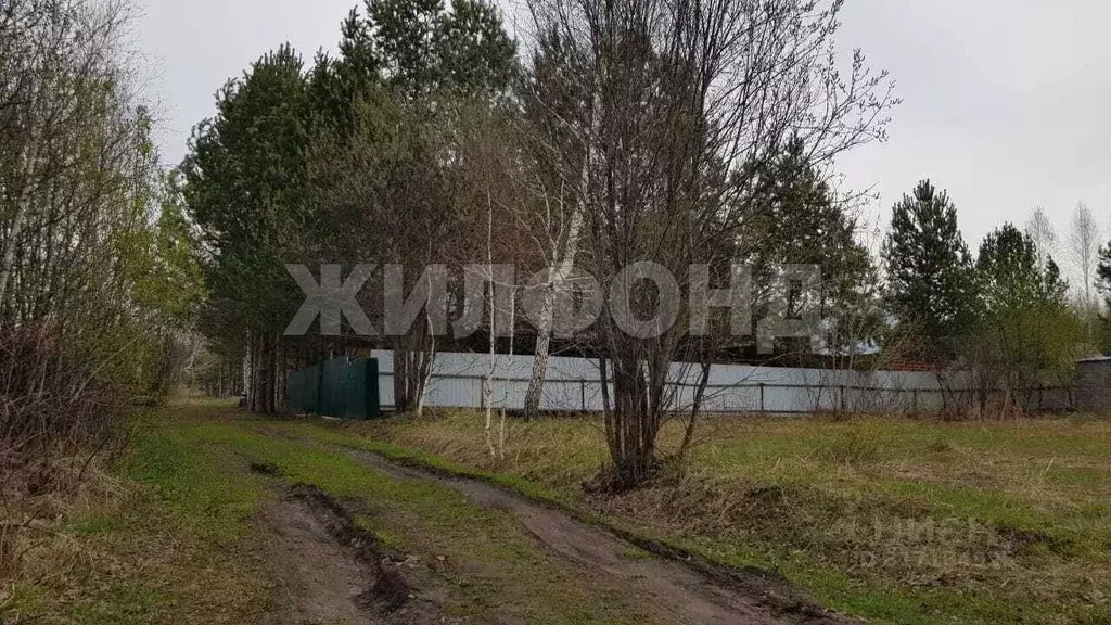 Дом в Новосибирская область, Тогучинский район, Заринка СТ ул. ... - Фото 0