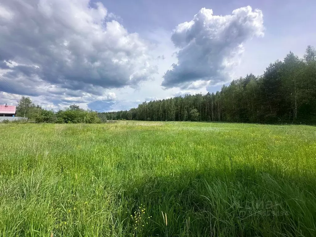 Участок в Московская область, Богородский городской округ, д. Тимково  ... - Фото 0