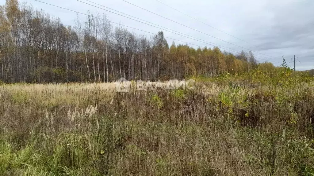 Участок в Нижегородская область, Павловский район, д. Щепачиха 46А ... - Фото 0