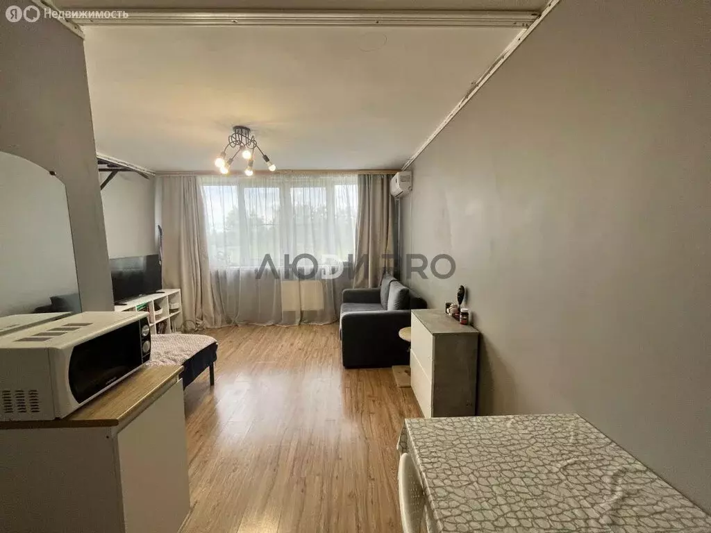 Квартира-студия: деревня Хохряки, Тепличная улица, 30 (27.3 м) - Фото 1