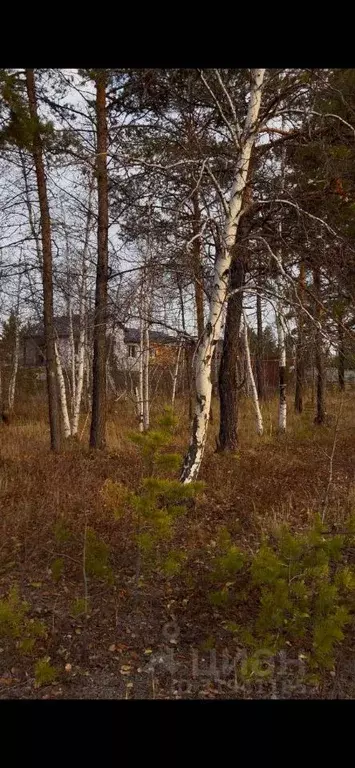 Участок в Саха (Якутия), Якутск ул. Сайдыы (10.0 сот.) - Фото 2