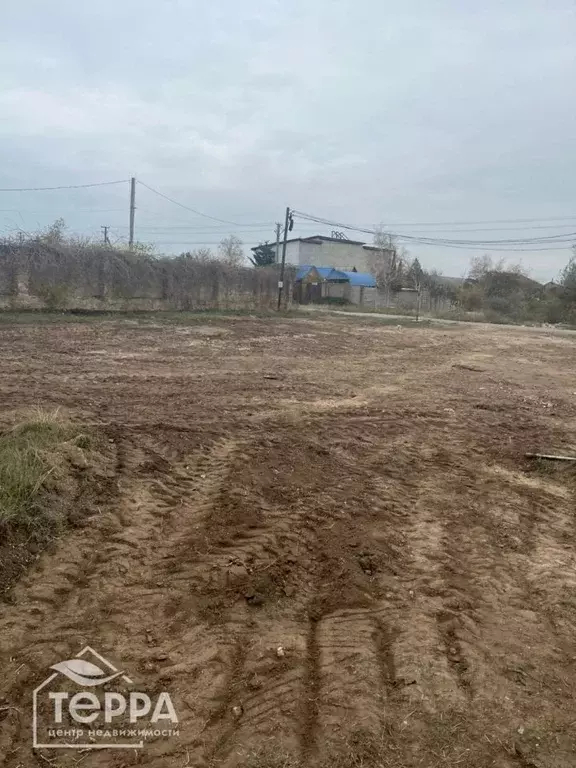 Участок в Крым, Черноморский район, с. Межводное ул. Мира, 2А (5.91 ... - Фото 1