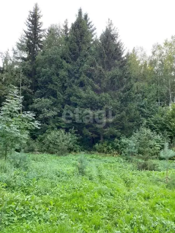 Участок в Калужская область, Боровский муниципальный округ, Совьяки ... - Фото 1