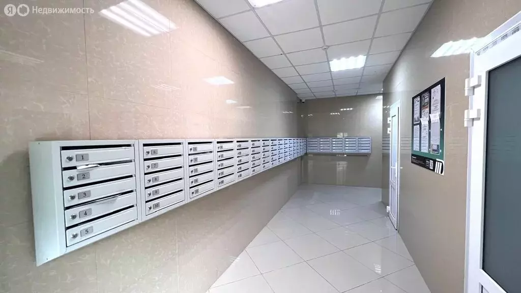 Квартира-студия: Краевско-Армянское, Измайловская улица, 20Ак1 (25 м) - Фото 2