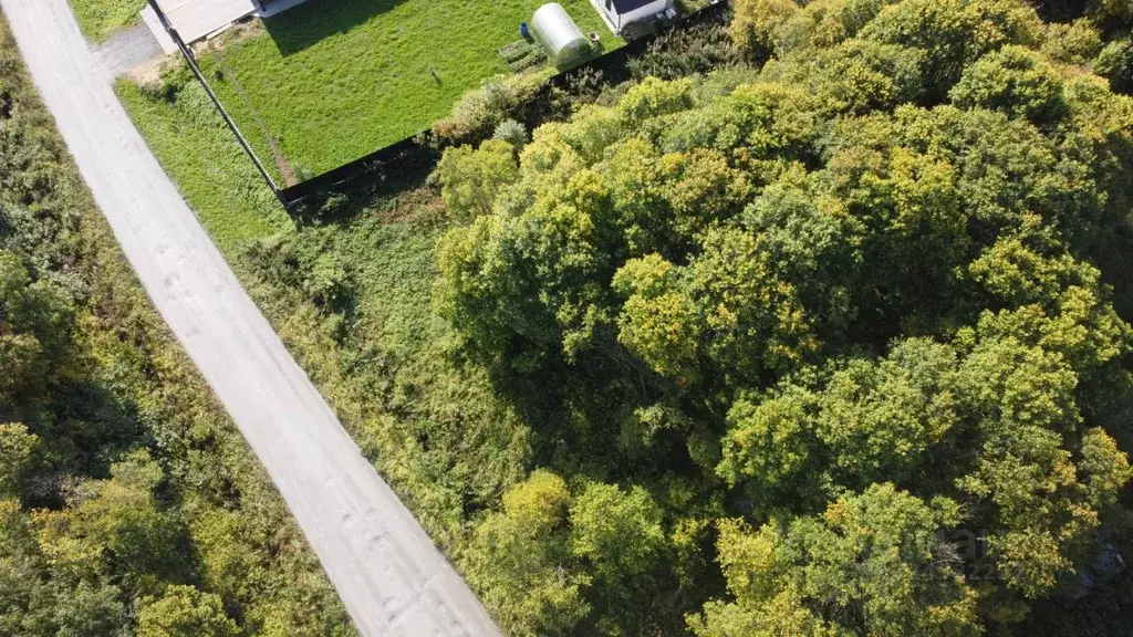 Участок в Карелия, Сортавальский муниципальный округ, пос. Кекоселькя  ... - Фото 1