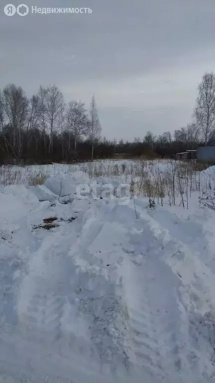 Участок в Шадринск, Моховая улица (10 м) - Фото 0