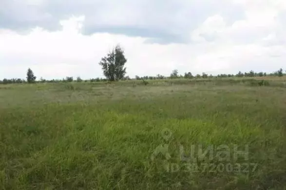 Участок в Самарская область, Тольятти Южное ш. (2300.0 сот.) - Фото 0