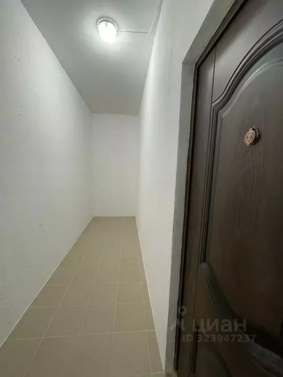 Помещение свободного назначения в Краснодарский край, Геленджик ул. ... - Фото 1