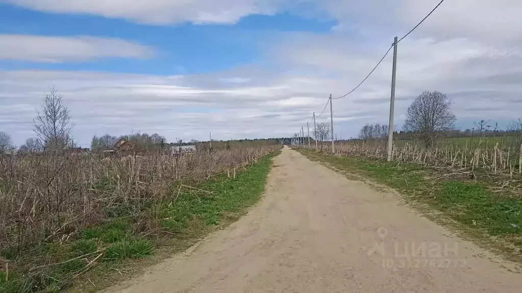 Участок в Ленинградская область, Волосовский район, Большеврудское ... - Фото 0