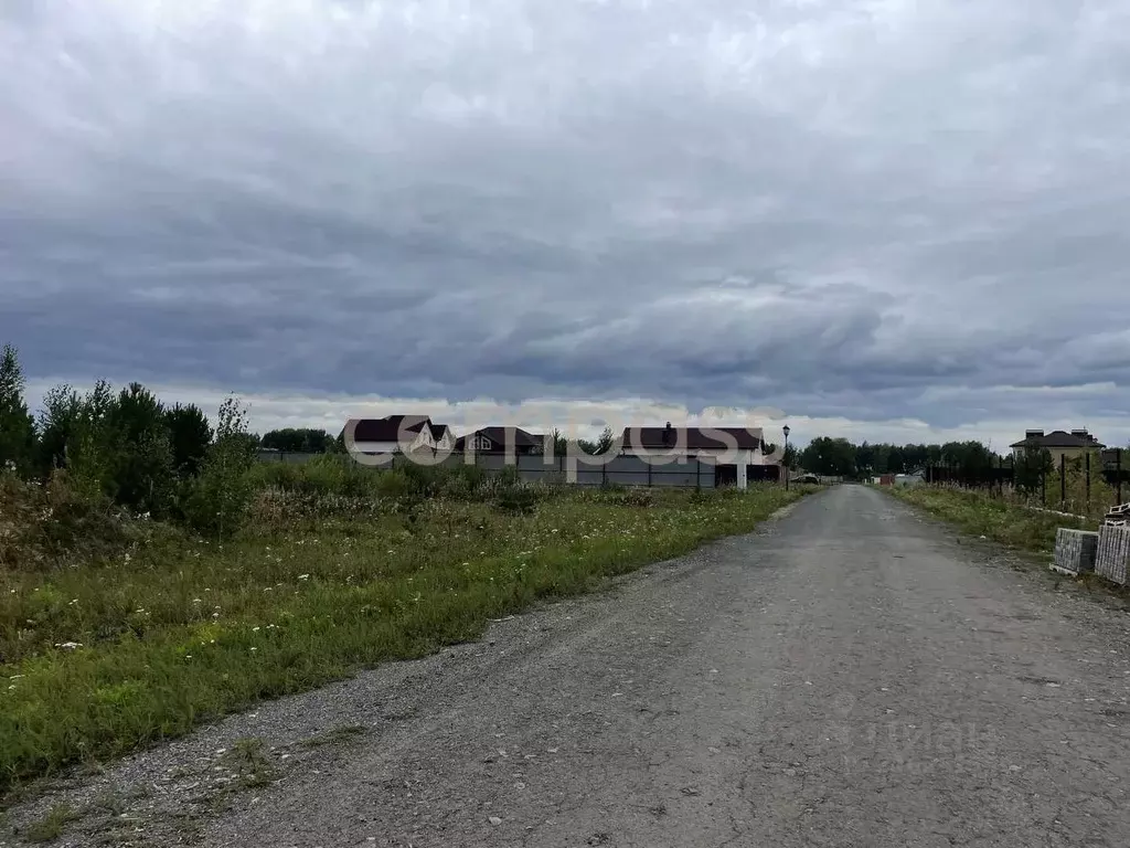 Участок в Тюменская область, Тюменский район, Новокаменский кп  (12.0 ... - Фото 1