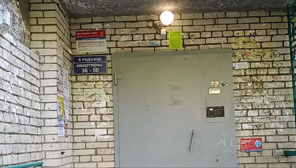2-к кв. Ленинградская область, Сосновый Бор Молодежная ул., 21 (33.0 ... - Фото 0